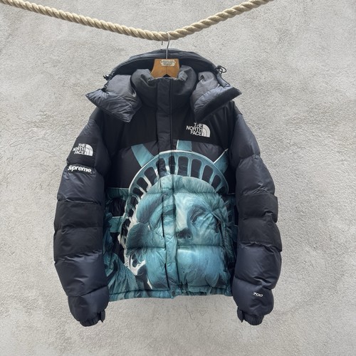 Supreme the north - face, tnf