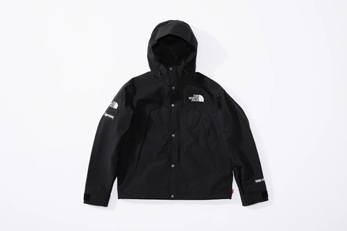Supreme the north face - north,