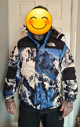 Supreme the north face - supreme,