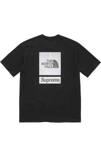 Supreme the north face ss24 - north,