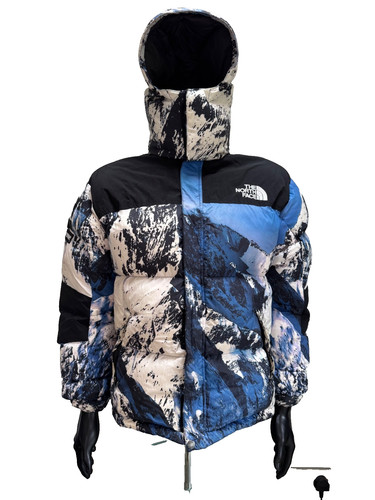 Supreme the north face fw17 - x,
