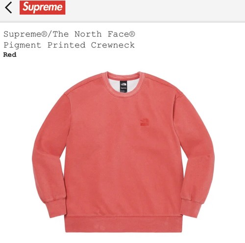 Supreme the north face - supreme,