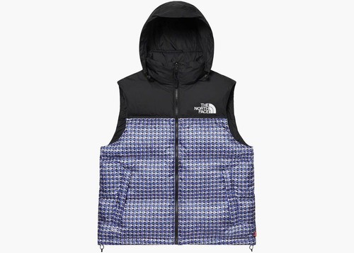 Supreme the north face - x,