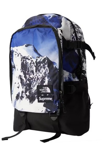 Supreme the north face - supreme,